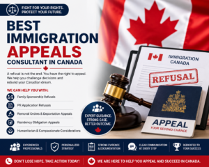 Immigration Appeals